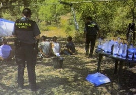 Imagen difundida por la Guardia Civil tras descubrir la plantación de Alcuéscar.