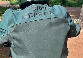 Investigado por meter siete perros en un saco y tirarlos a un contenedor en San Vicente de Alcántara