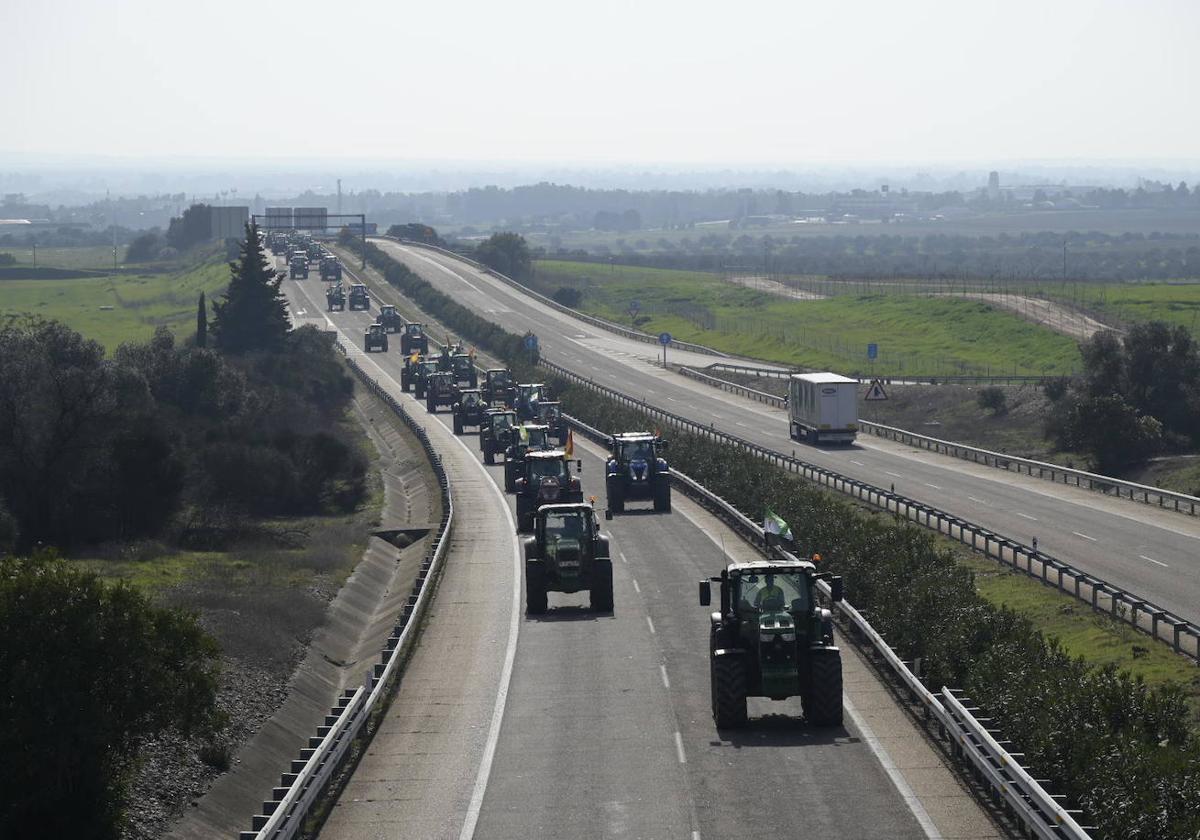 Las cinco claves de las protestas del campo extremeño