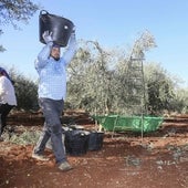 Bruselas mantiene sus dudas sobre el regadío de Tierra de Barros pero no lo rechaza