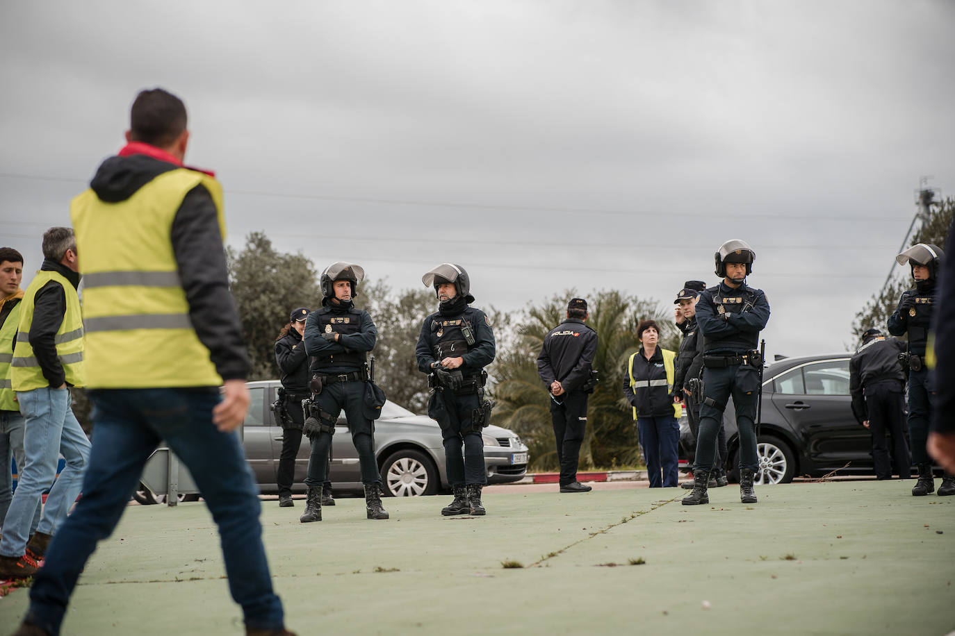 Fotos | La protesta de agricultores y ganaderos extremeños en Mérida