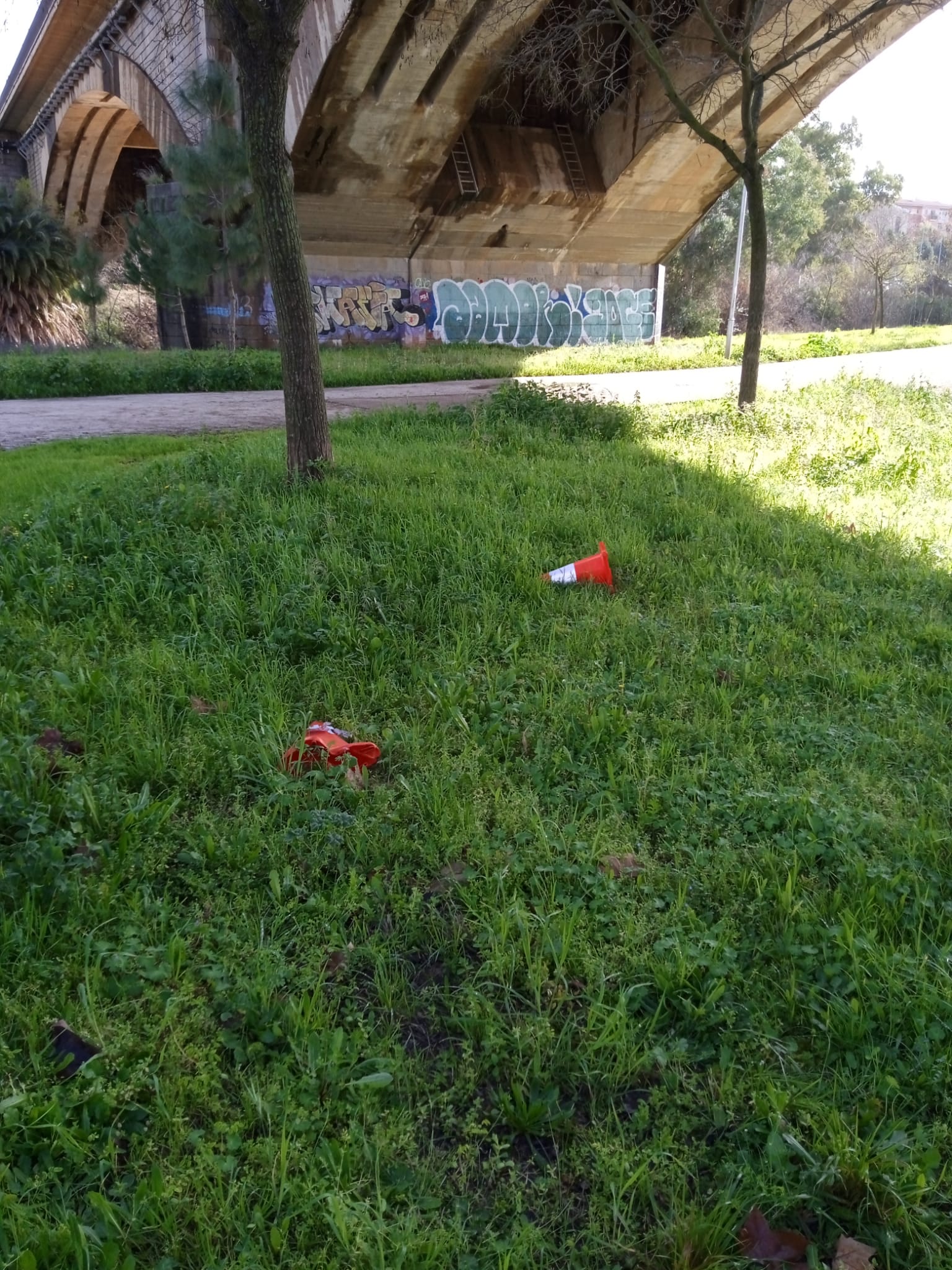 Imágenes de los destrozos que han causado las protestas agrarias en Mérida