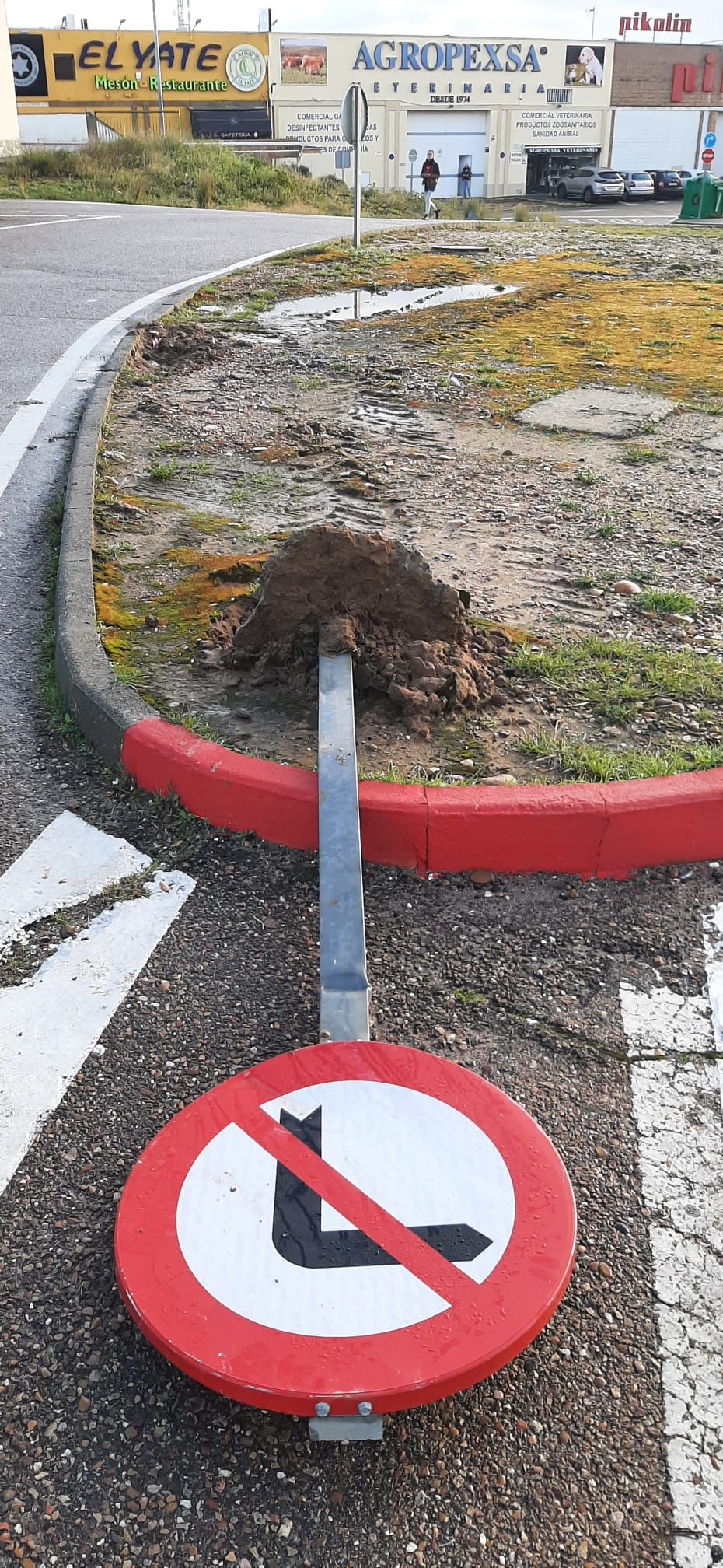 Imágenes de los destrozos que han causado las protestas agrarias en Mérida