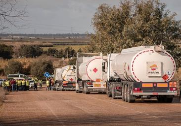 Sigue en directo la situación de las carreteras extremeñas