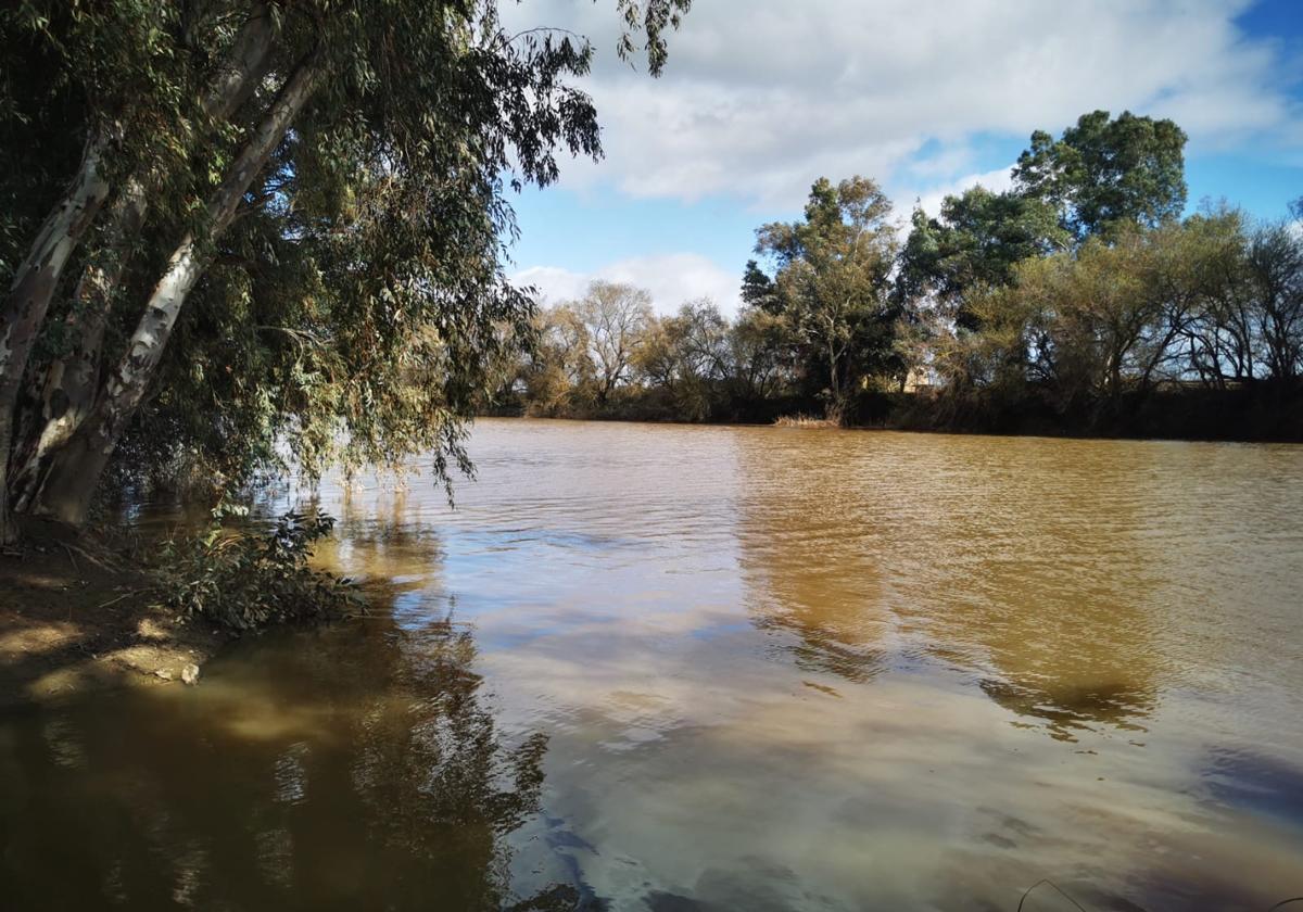 Río Ruecas, a su paso por Hernán Cortés.