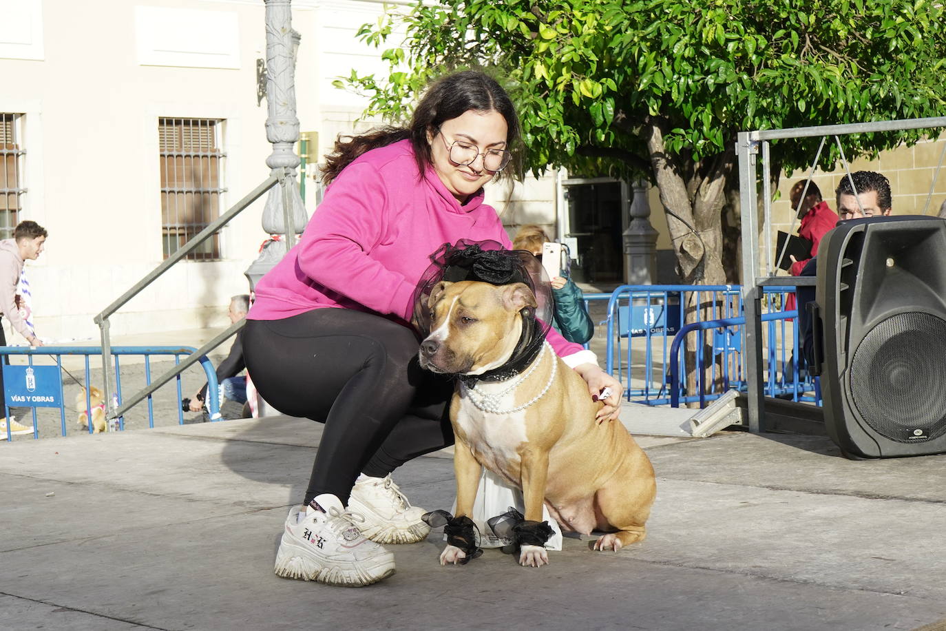 Las mejores imágenes del concurso de disfraces de mascotas del Carnaval de Badajoz