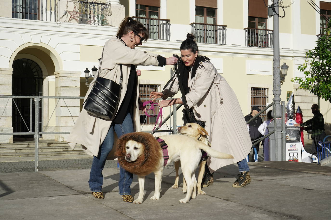 Las mejores imágenes del concurso de disfraces de mascotas del Carnaval de Badajoz