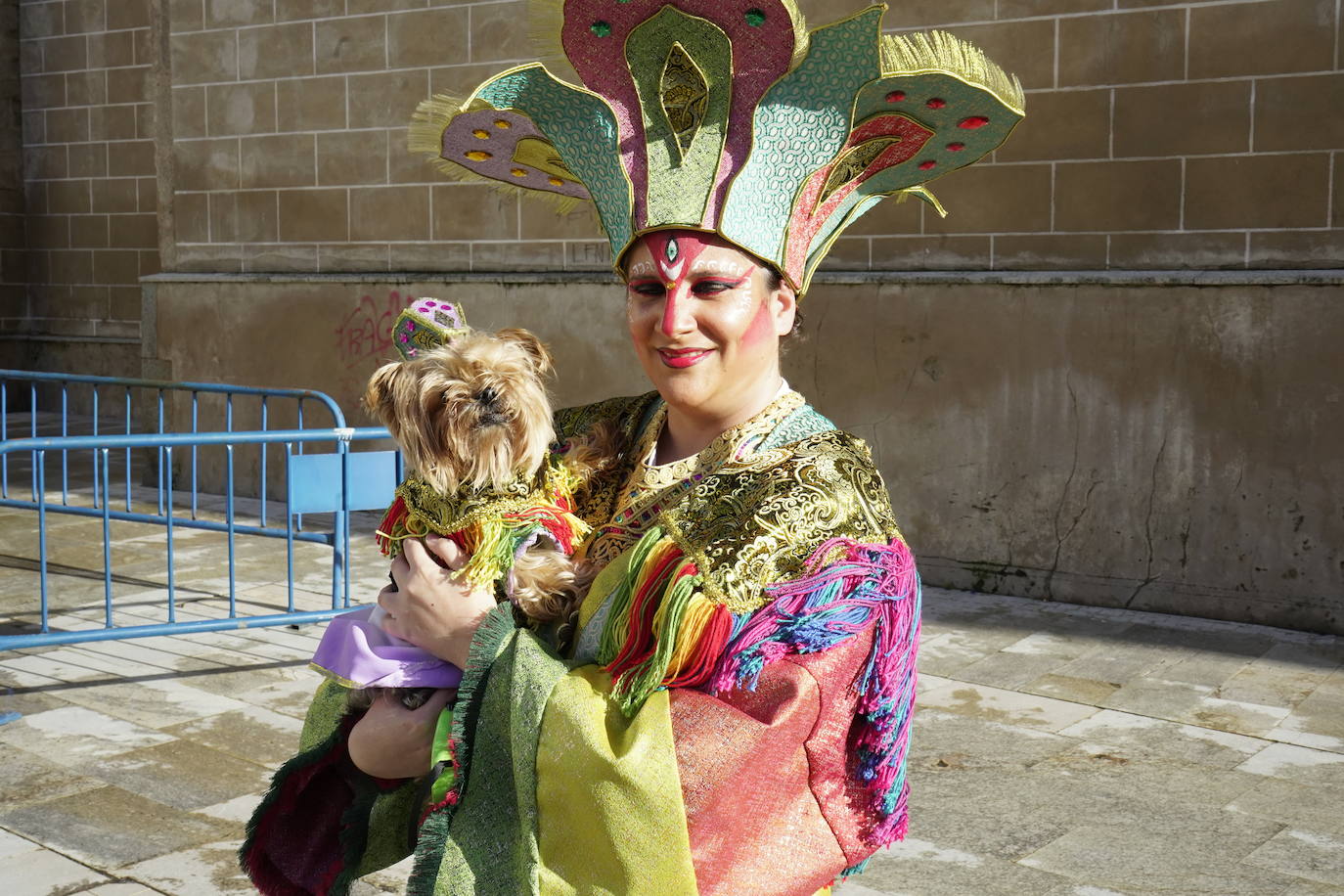 Las mejores imágenes del concurso de disfraces de mascotas del Carnaval de Badajoz