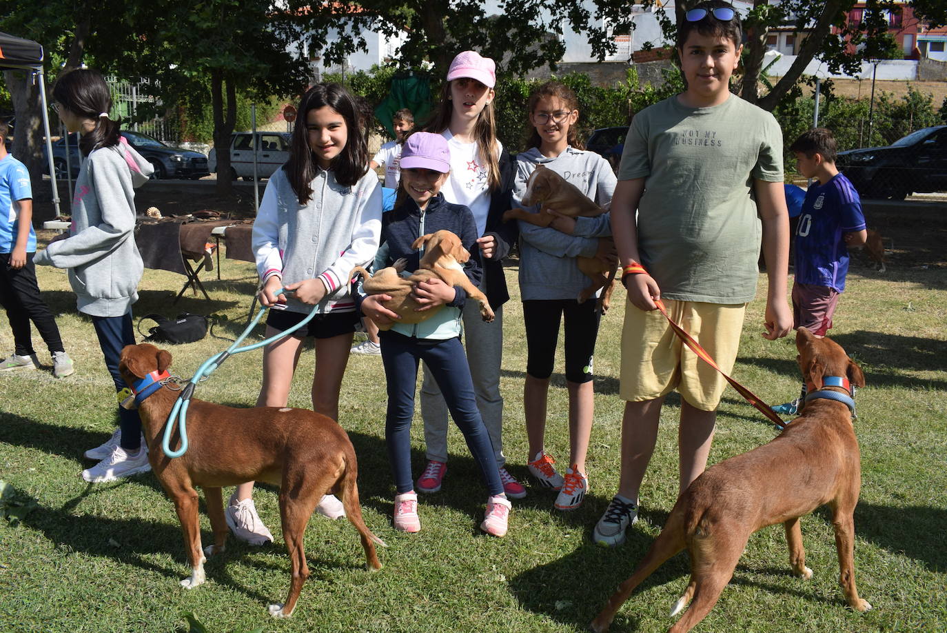 Imagen principal - Fedexcaza pone en marcha la octava edición de Proades &#039;Caza y Naturaleza&#039;