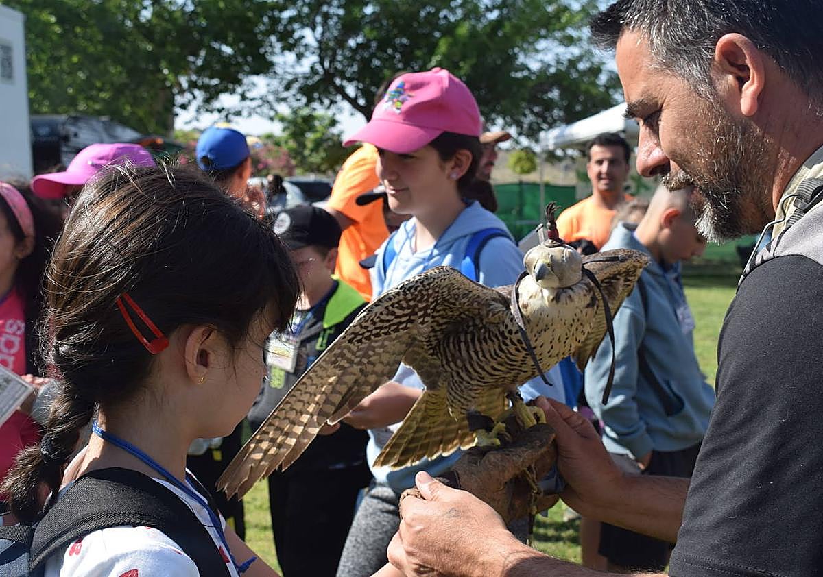 Imagen secundaria 1 - Fedexcaza pone en marcha la octava edición de Proades &#039;Caza y Naturaleza&#039;