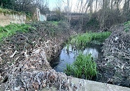 Toallitas acumuladas en la Ribera del Marco, un problema que se evitará con la nueva EDAR.