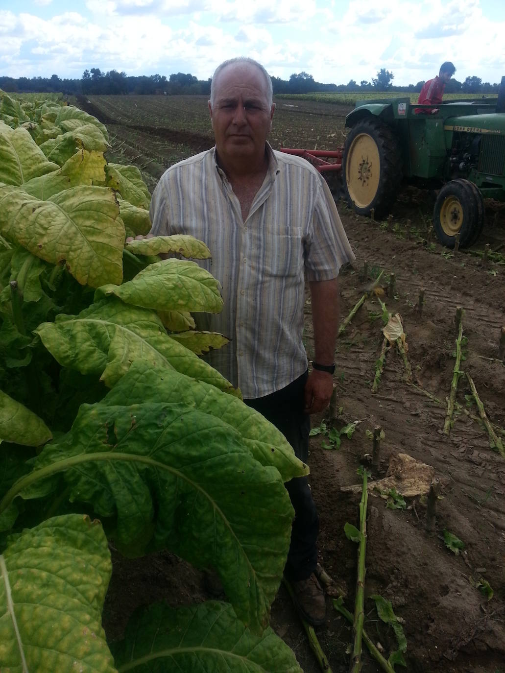 Carlos Martín en su explotación tabaquera.