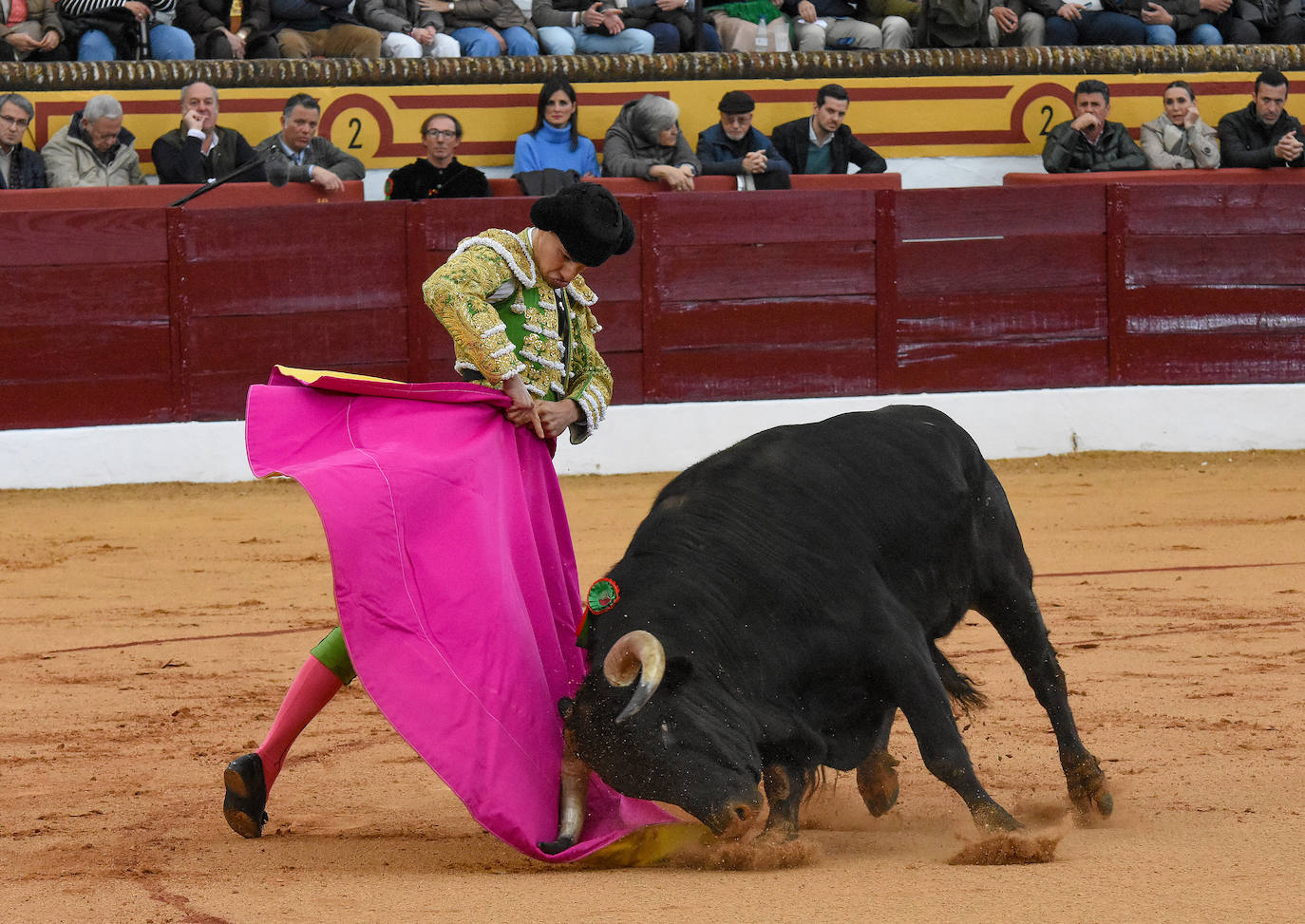 La novillada del viernes en la Feria de Olivenza 2024, en imágenes