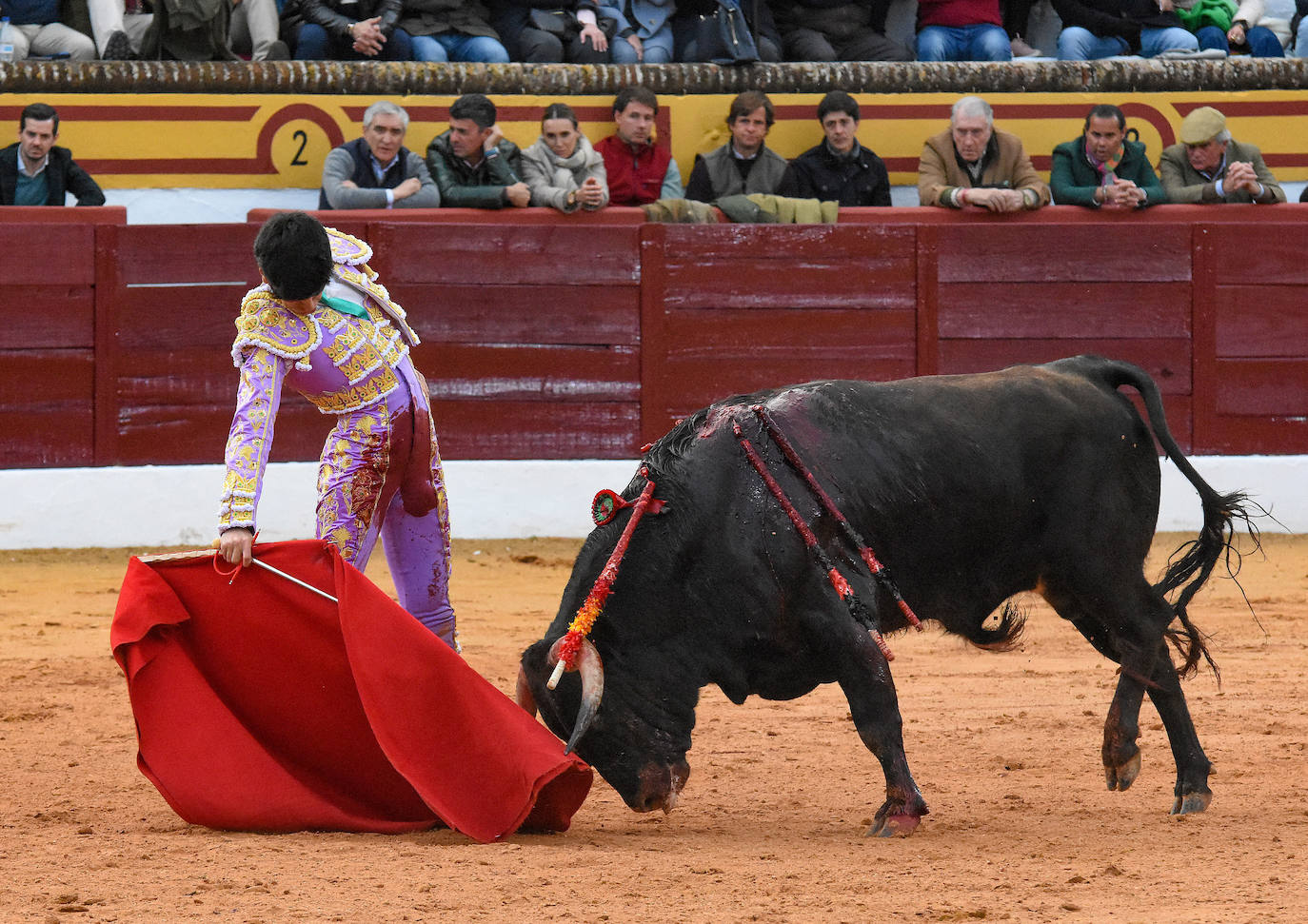 La novillada del viernes en la Feria de Olivenza 2024, en imágenes