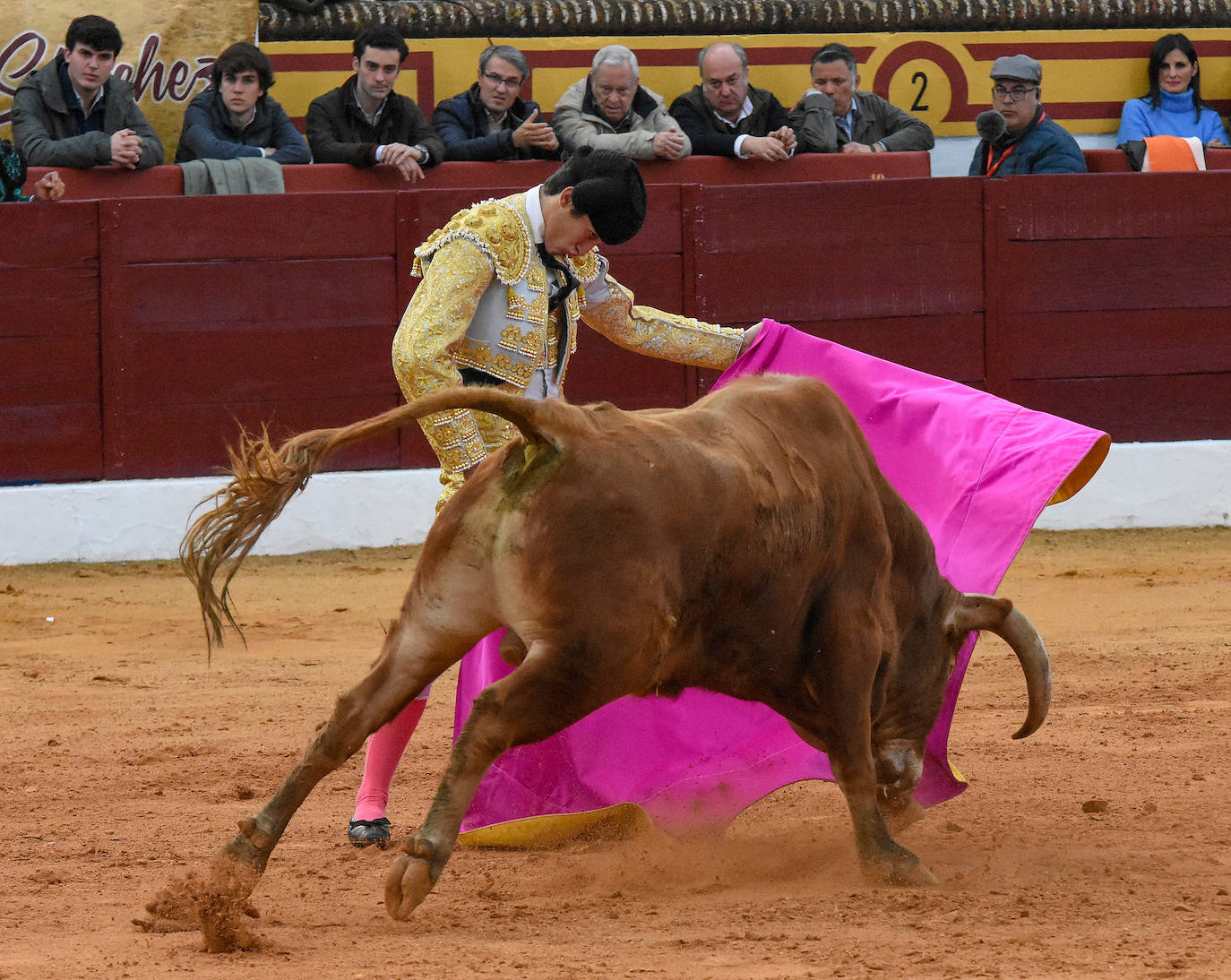 La novillada del viernes en la Feria de Olivenza 2024, en imágenes