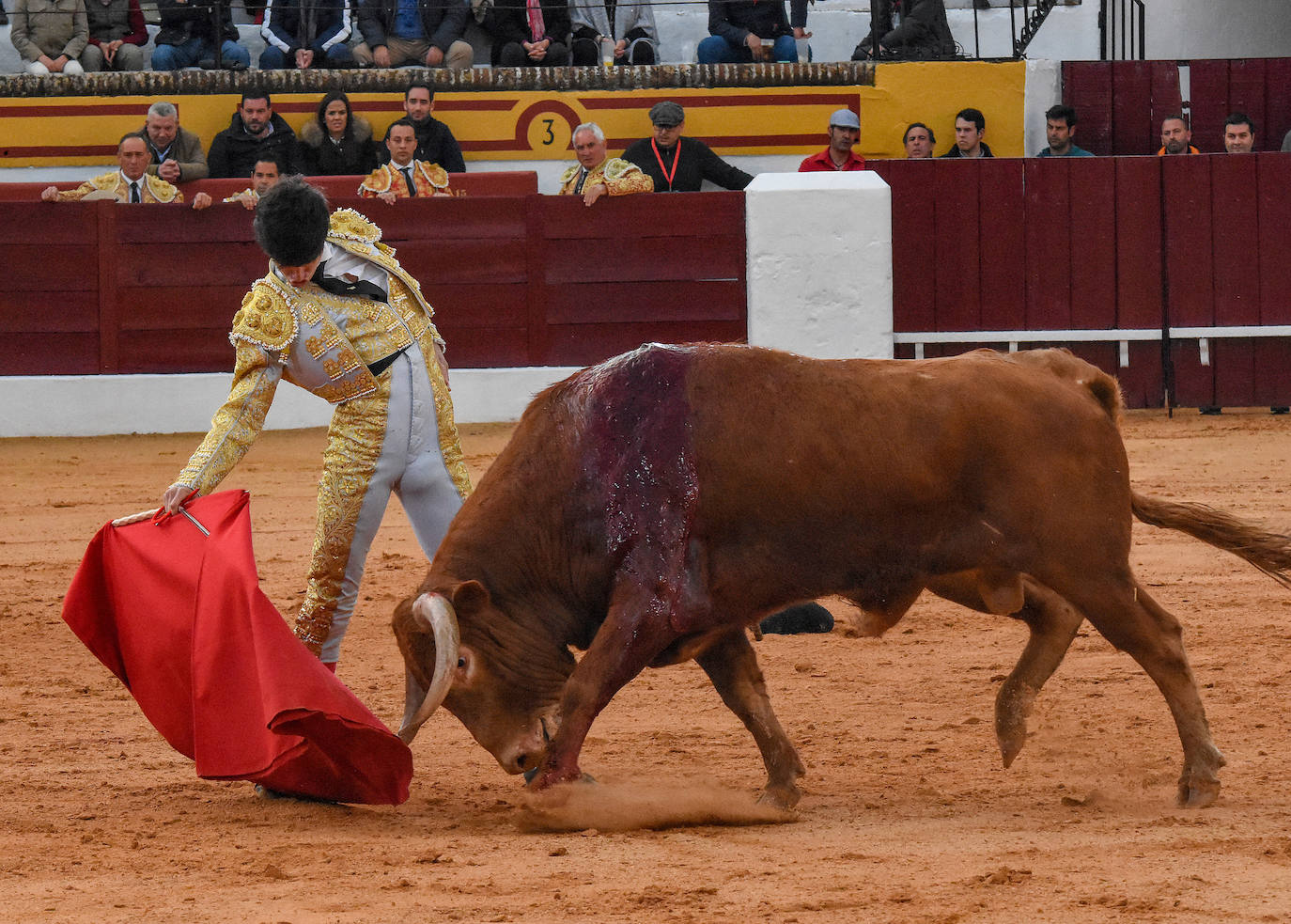 La novillada del viernes en la Feria de Olivenza 2024, en imágenes