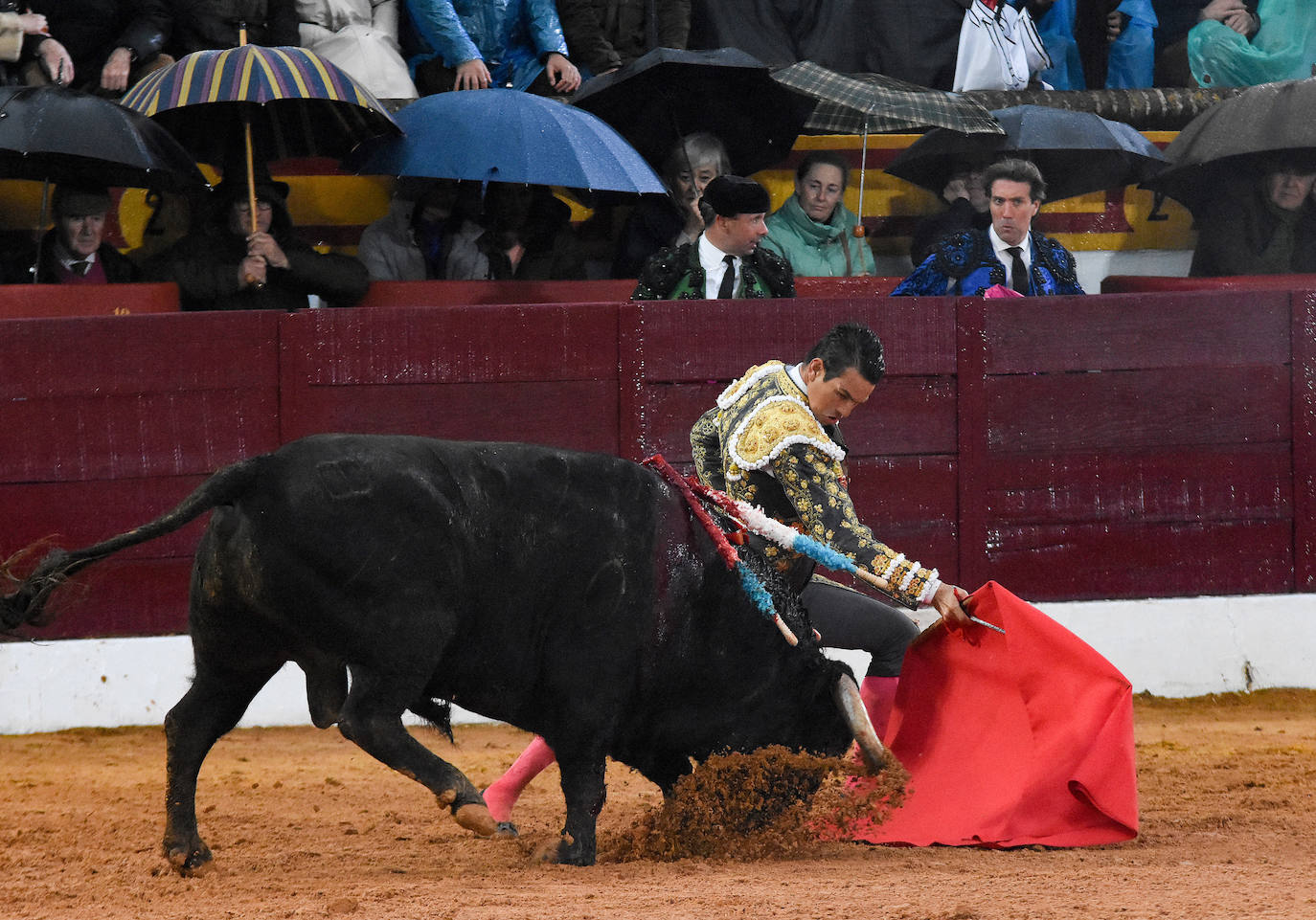 La corrida de toros del sábado en la Feria de Olivenza, en imágenes