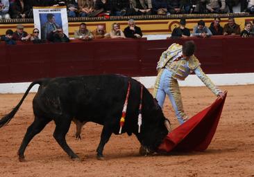 Qué bien torea Javier Zulueta