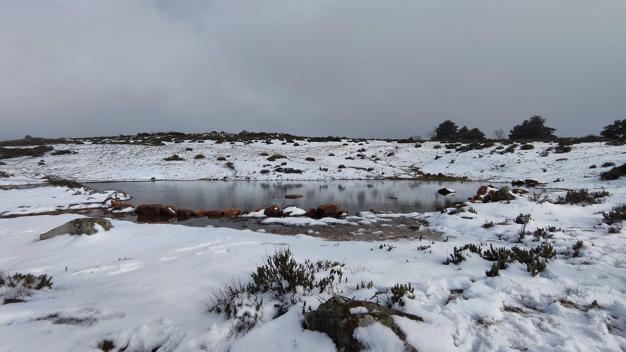 La nieve se ha acumulado en Piornal, unos 5 centímetros, y en los alrededores el espesor podría llegar a los 10 centímetros.