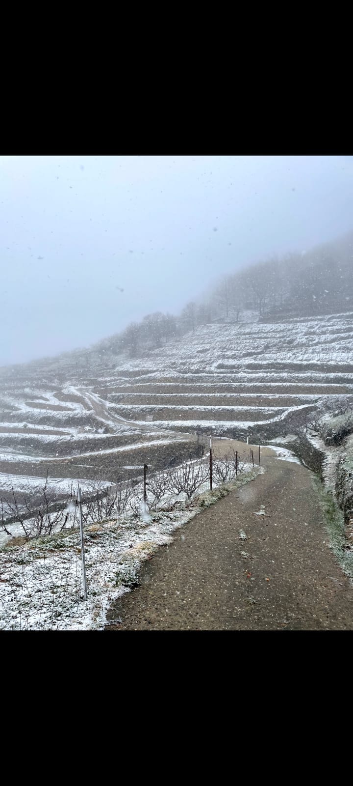 En Tornavacas también nevó a mediodía, pero solo ha cuajado en los alrededores de la localidad jerteña.