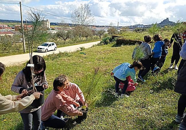 Reforestación del Risco de San Blas