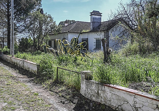 La vegetación invade los patios de las antiguas casas donde vivían los funcionarios portugueses de la aduana.