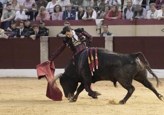 Emilio De Justo con nudista, el toro de Juan Pedro al que indultó en Almendralejo
