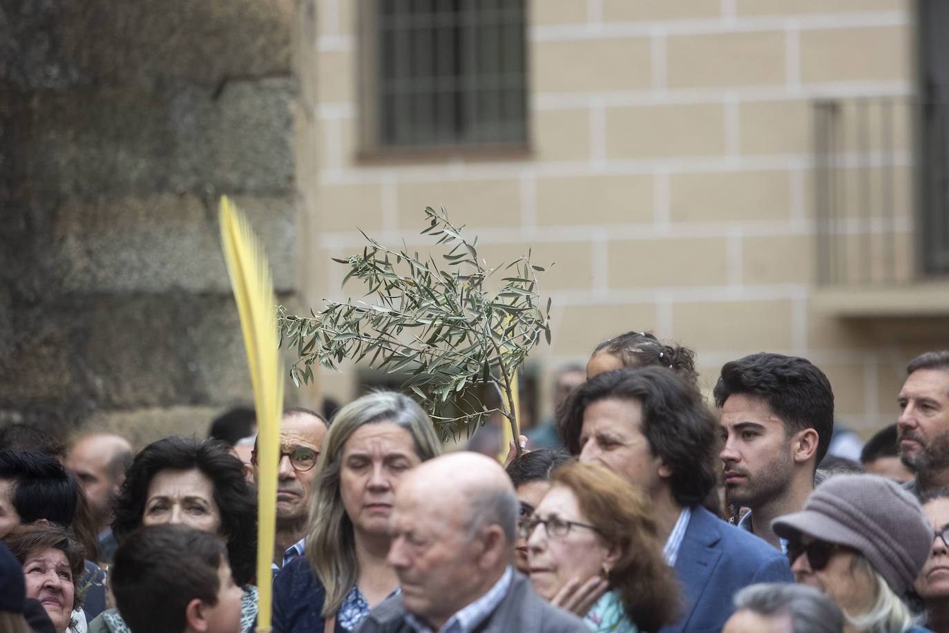 Domingo de Ramos | Miles de cacereños acompañan a la Burrina en Cáceres (I)