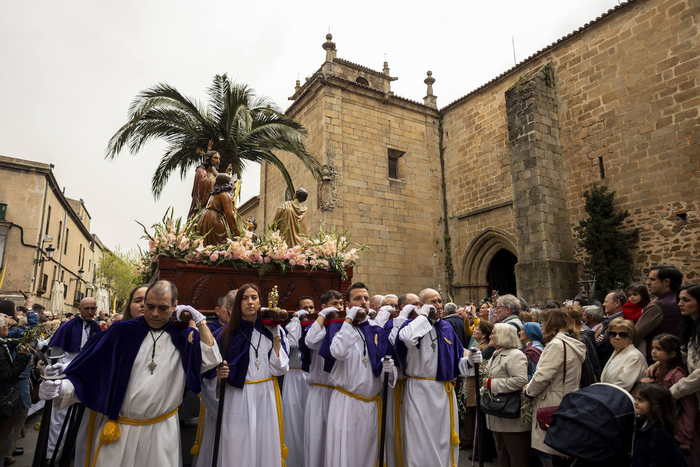 Domingo de Ramos | Miles de cacereños acompañan a la Burrina en Cáceres (II)