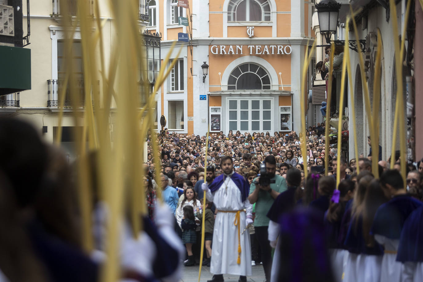 Domingo de Ramos | Miles de cacereños acompañan a la Burrina en Cáceres (II)