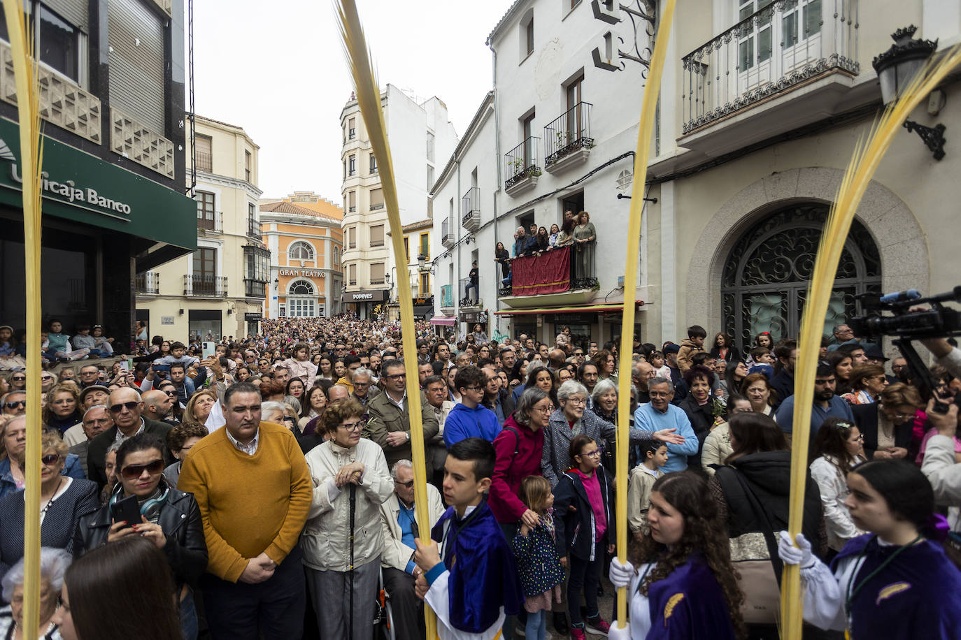 Domingo de Ramos | Miles de cacereños acompañan a la Burrina en Cáceres (II)