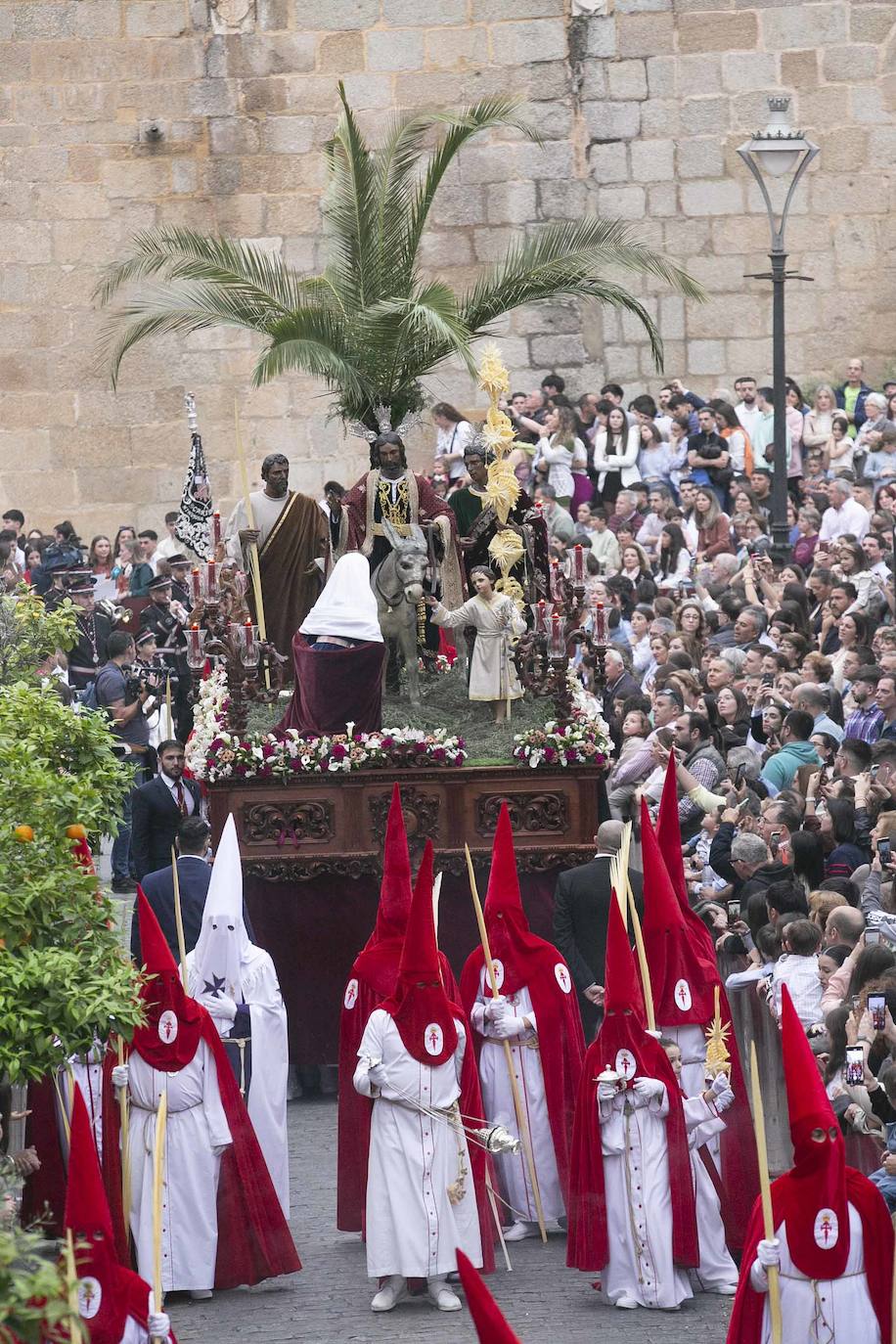 Desde la Concatedral ha salido la cofradía Infantil con su paso Entrada de Jesús en Jerusalén.