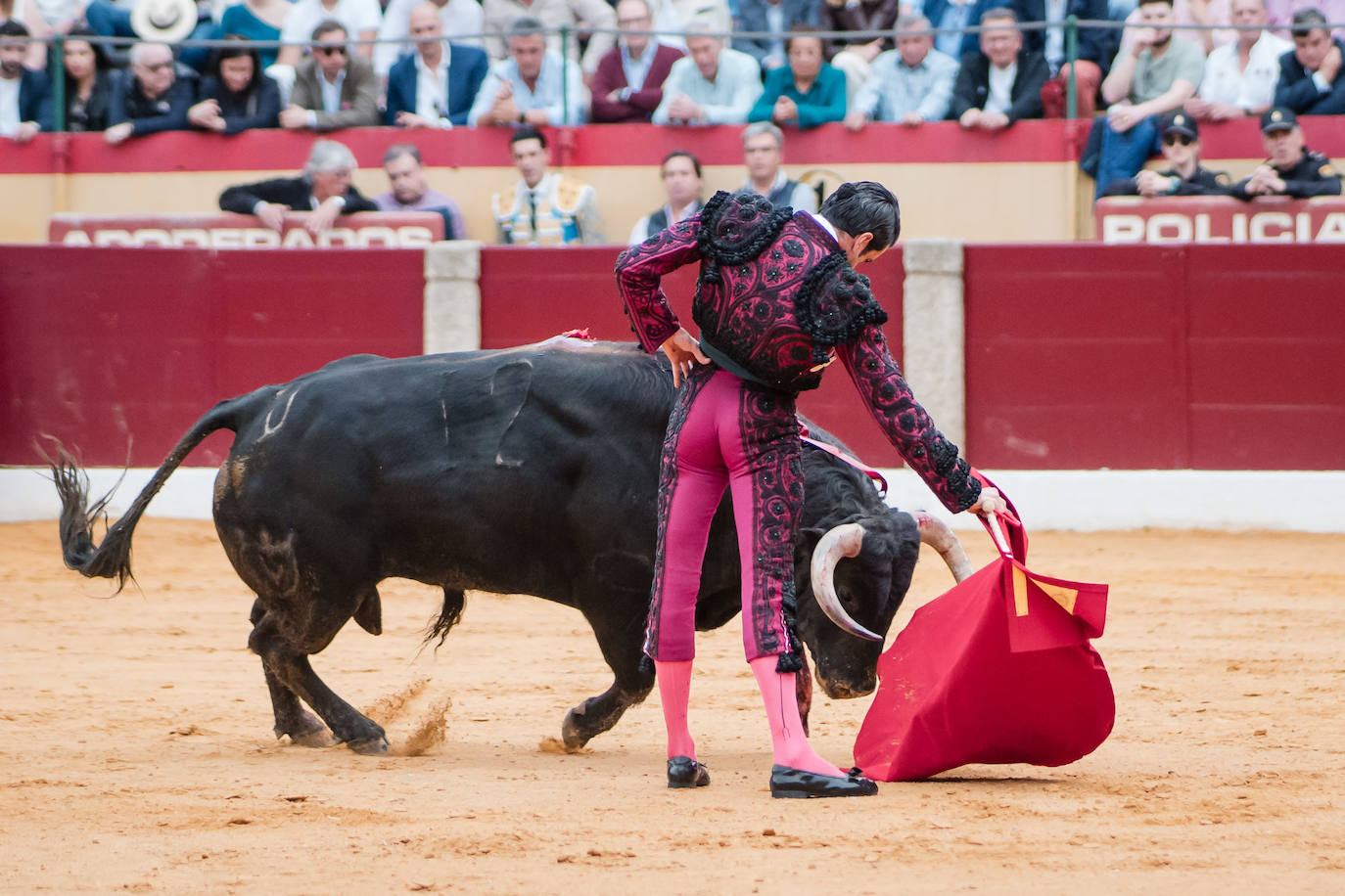 Las mejores imágenes de la corrida de Emilio de Justo, Talavante y Juan Ortega en Almendralejo (I)