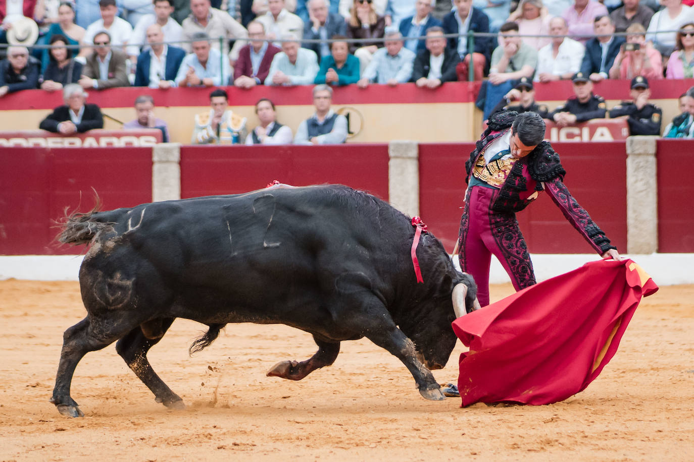 Las mejores imágenes de la corrida de Emilio de Justo, Talavante y Juan Ortega en Almendralejo (I)