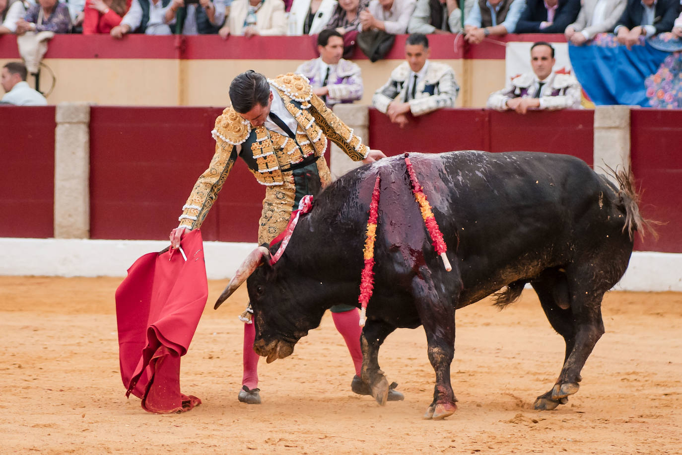 Las mejores imágenes de la corrida de Emilio de Justo, Talavante y Juan Ortega en Almendralejo (II)