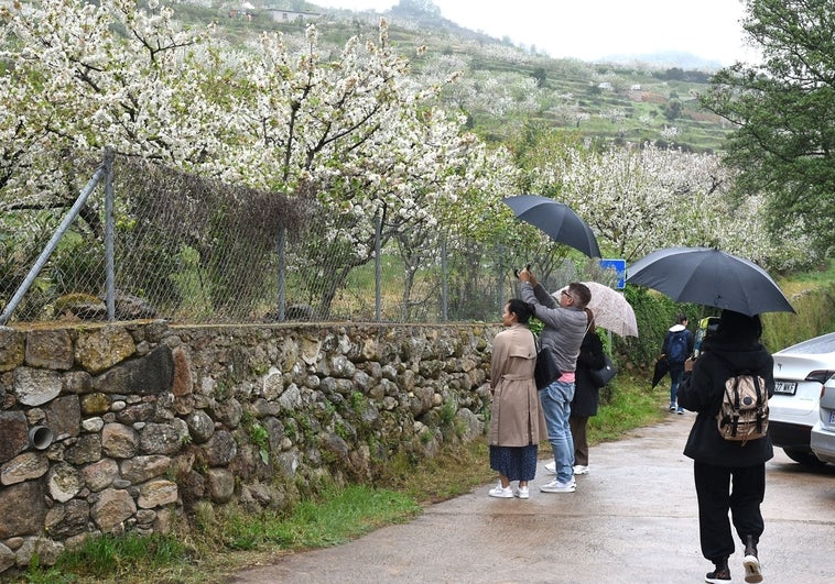 Turistas este lunes, junto al punto de inicio de la ruta de Las Nogaledas.