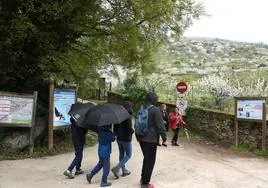 Las lluvias han seguido cayendo en el norte de Cáceres y la comarca estará en alerta amarilla a partir del miércoles.