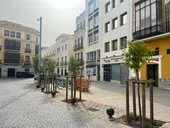 Naranjos plantados en la plaza de España durante las últimas semanas.