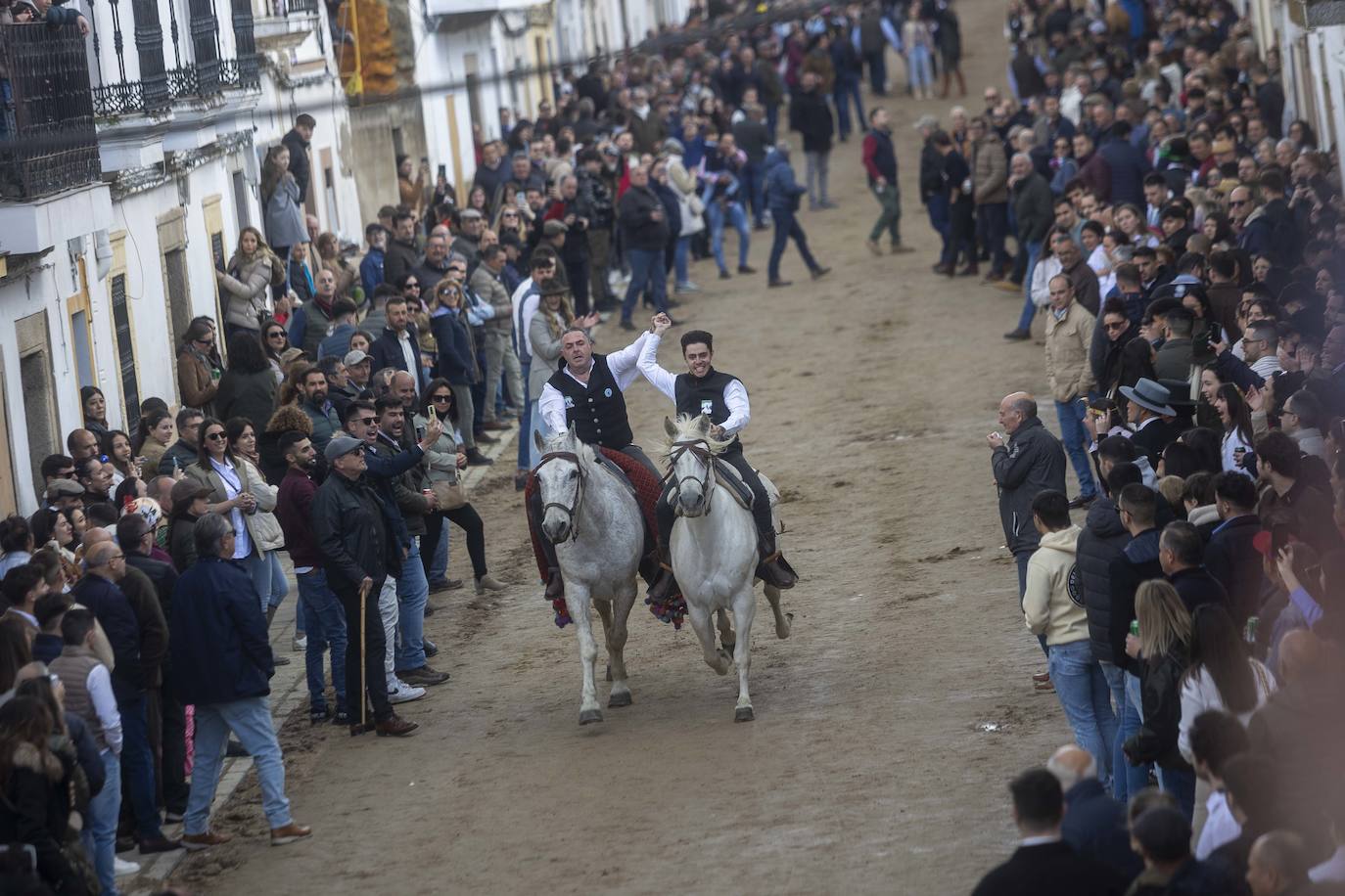 Las mejores imágenes de las carreras de caballo de Arroyo de la Luz (II)