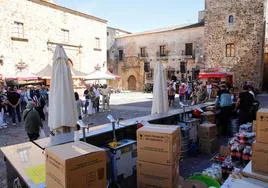 Imagen de la plaza de Santa María de Cáceres, este sábado por la tarde durante el mercado de la primavera.
