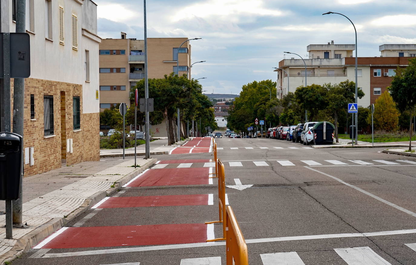 Obra de uno de los últimos carriles bici que se crearon en la ciudad el pasado año.