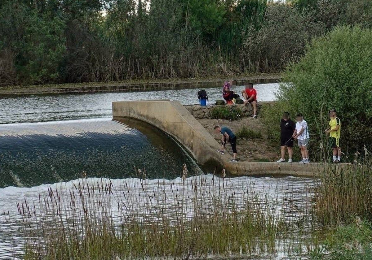 Jóvenes pescando ayer desde el muro del azud de La Pesquera, donde está prohibido porque es peligroso.