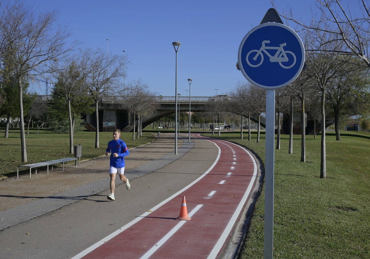 Obras para crear el carril bici en el parque del río en 2023.