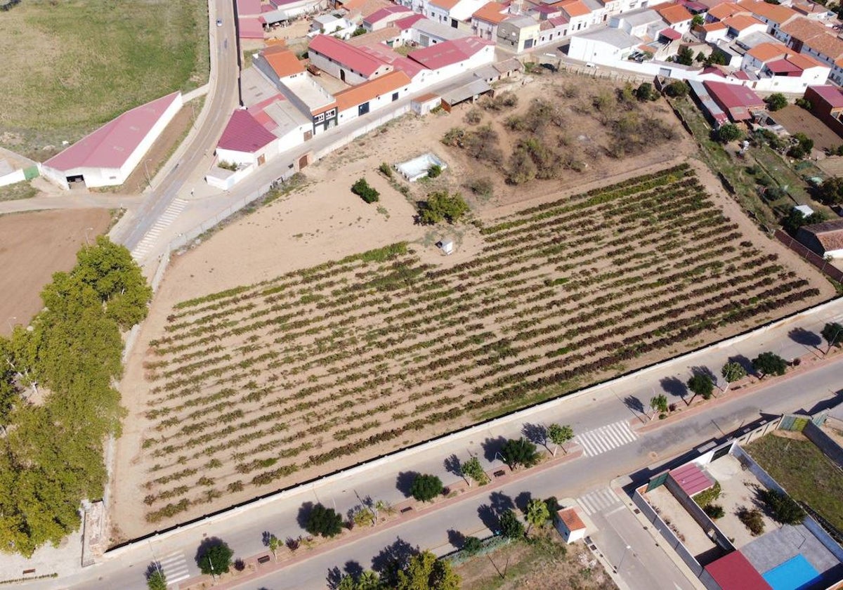 Parcela en la que se construirá el centro en Guareña.