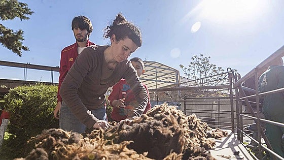 Un equipo «ultramoderno» para analizar la fibra del ovino