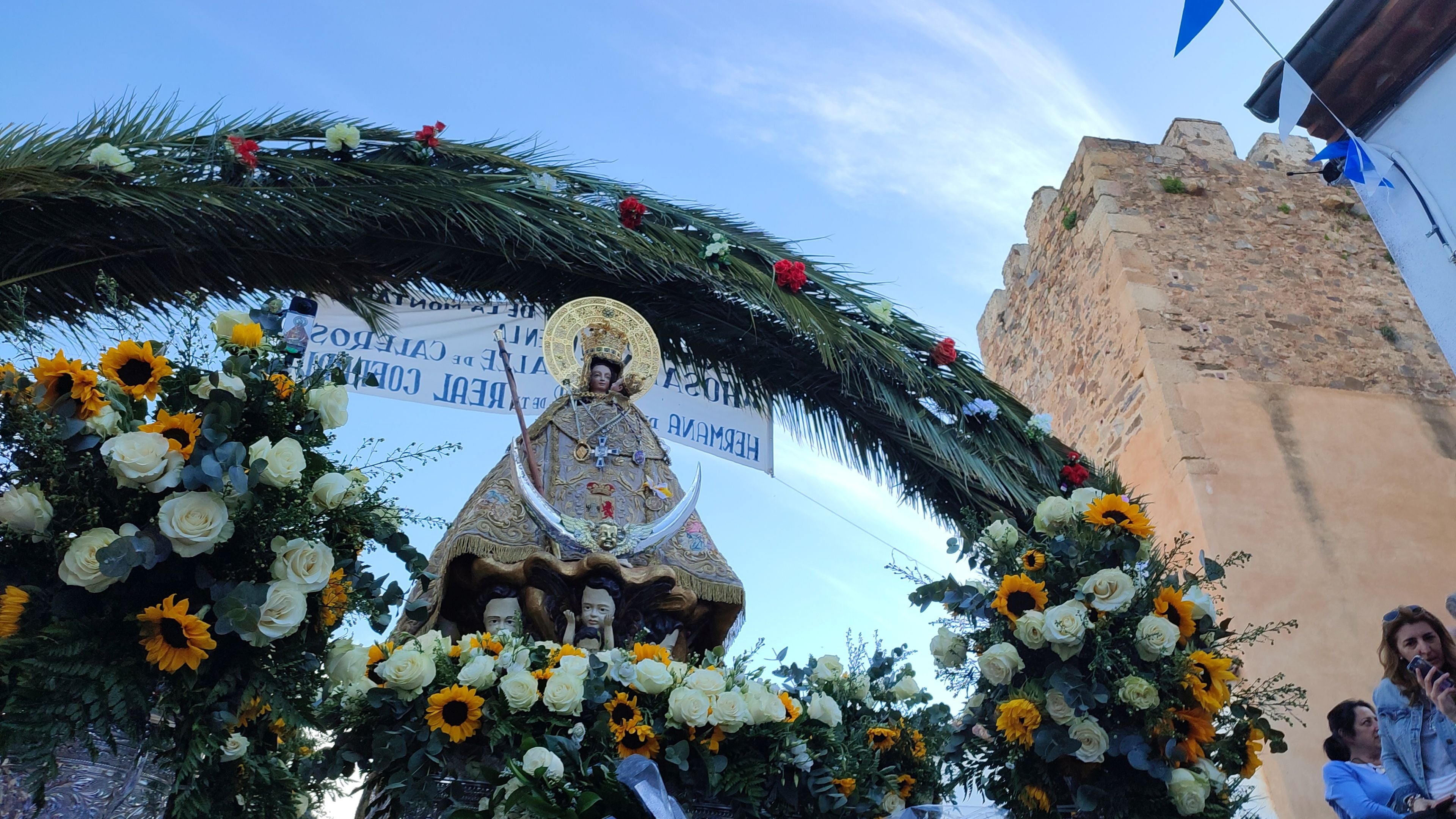 La bajada de la Virgen de la Montaña, en imágenes