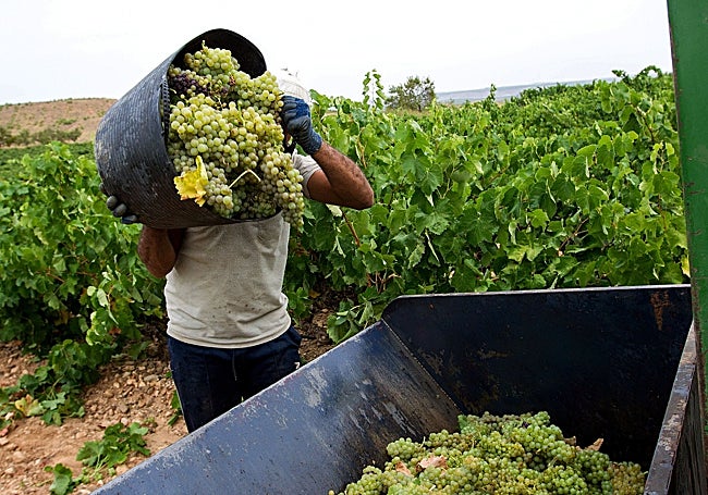 Las características de la economía extremeña también condicionan su capacidad para atraer talento.