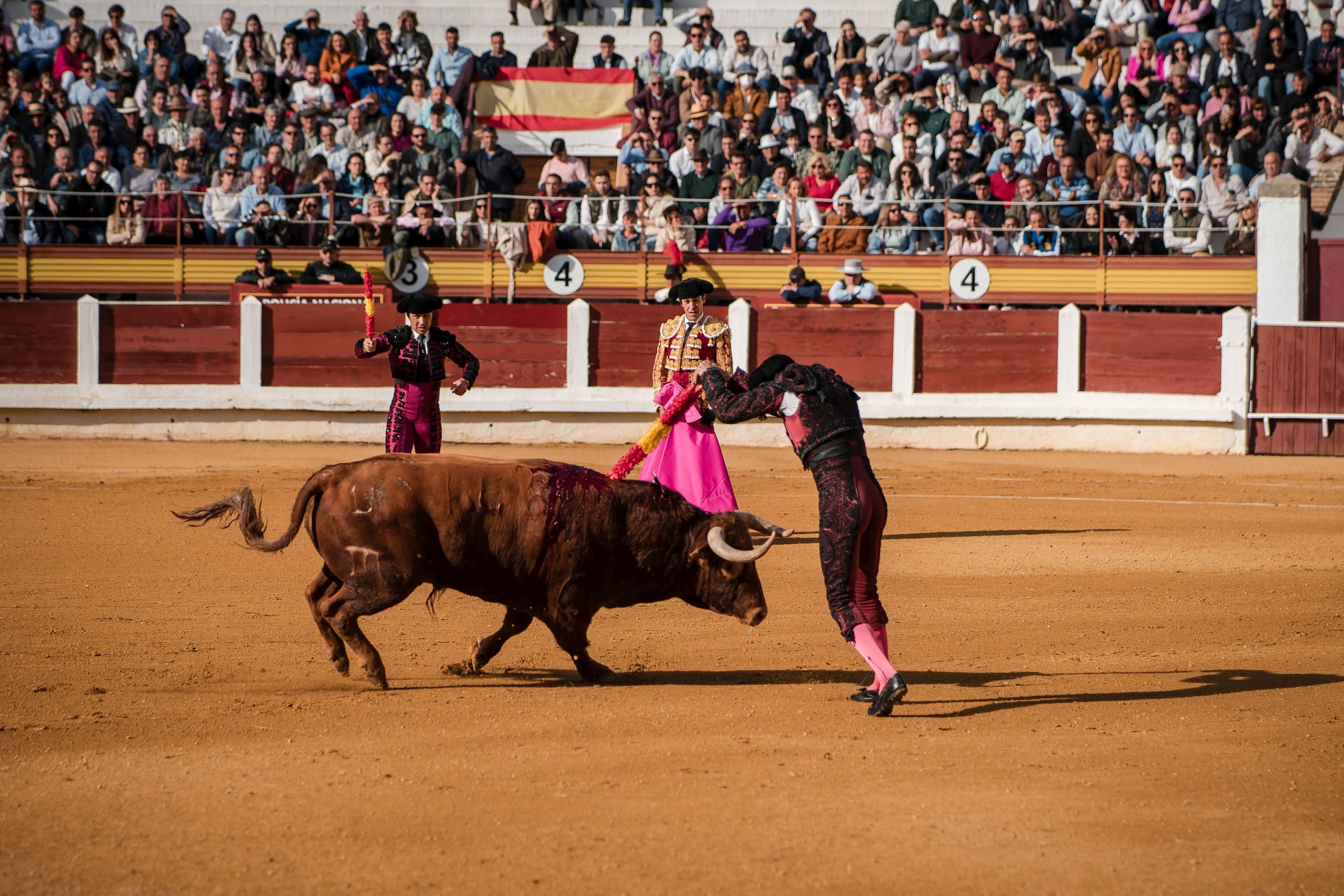 La corrida de primavera de Mérida, en imágenes (I)