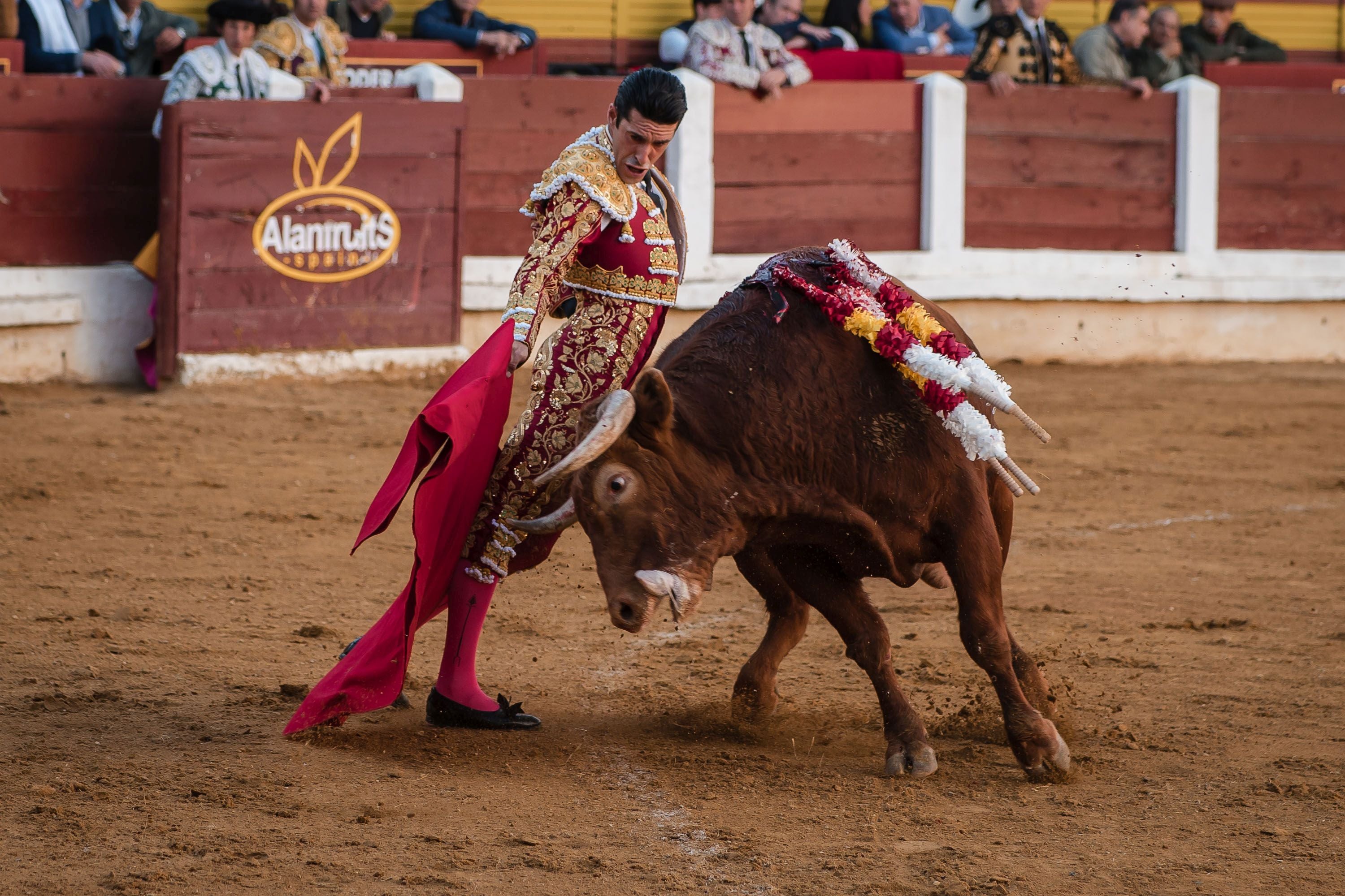 La corrida de primavera de Mérida, en imágenes (I)