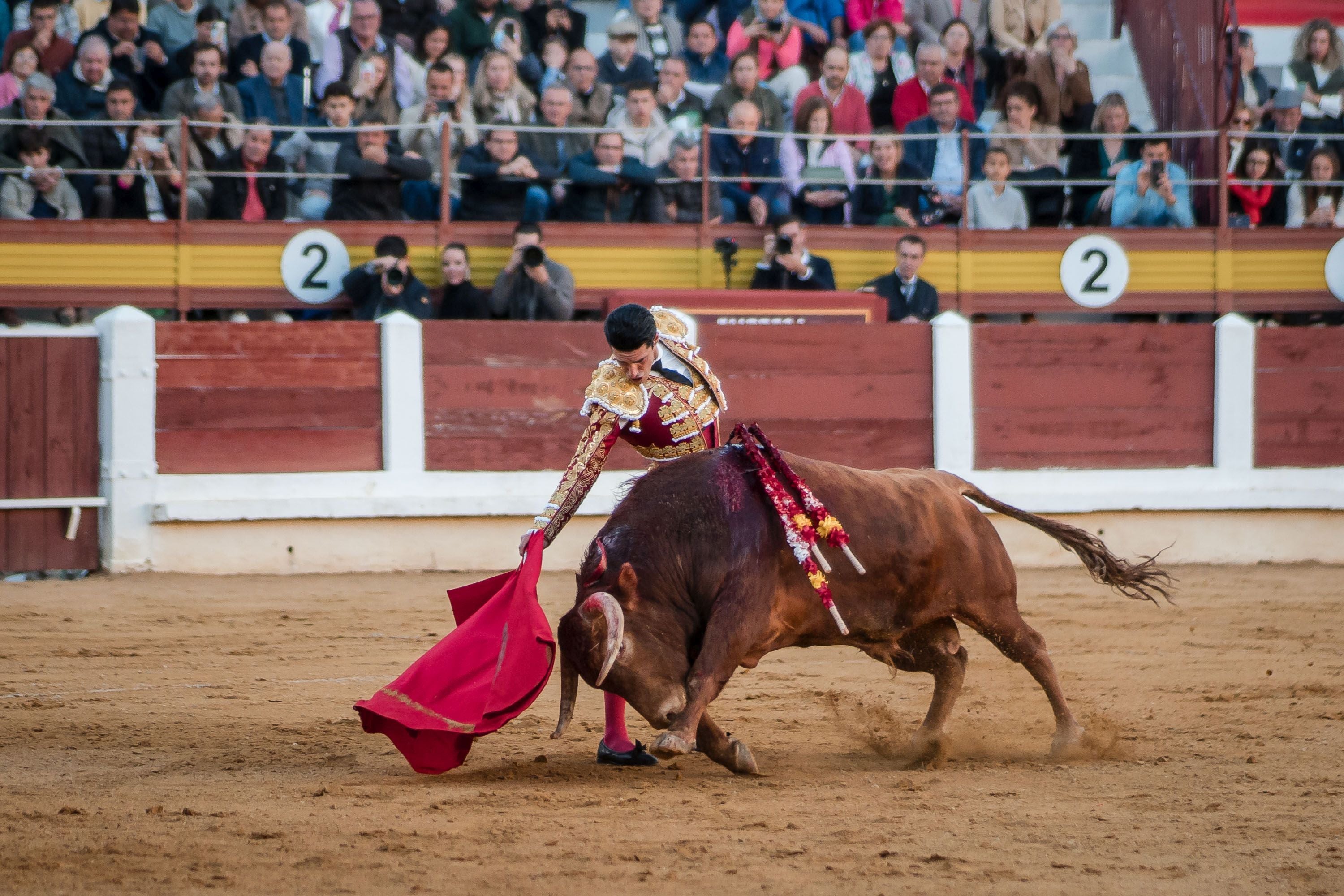 La corrida de primavera de Mérida, en imágenes (II)